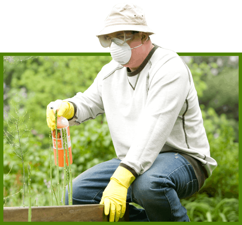 man-using-pesticide-2
